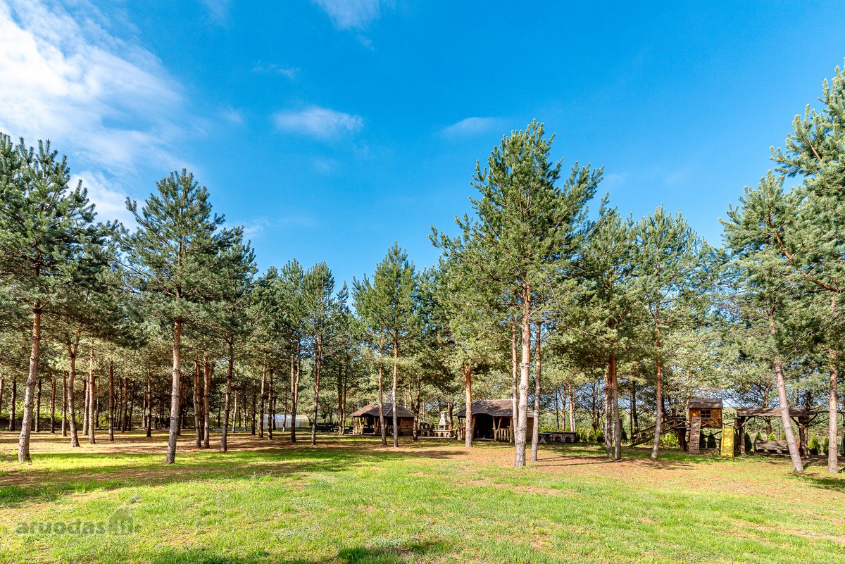 Gyvenimas Pušyne – Privati 2,6 Ha Rezidencija - nuotraukos Nr. 26