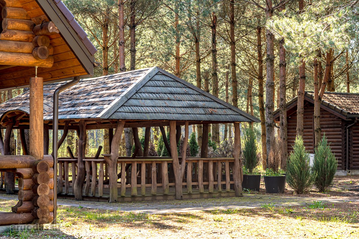 Gyvenimas Pušyne – Privati 2,6 Ha Rezidencija - nuotraukos Nr. 6