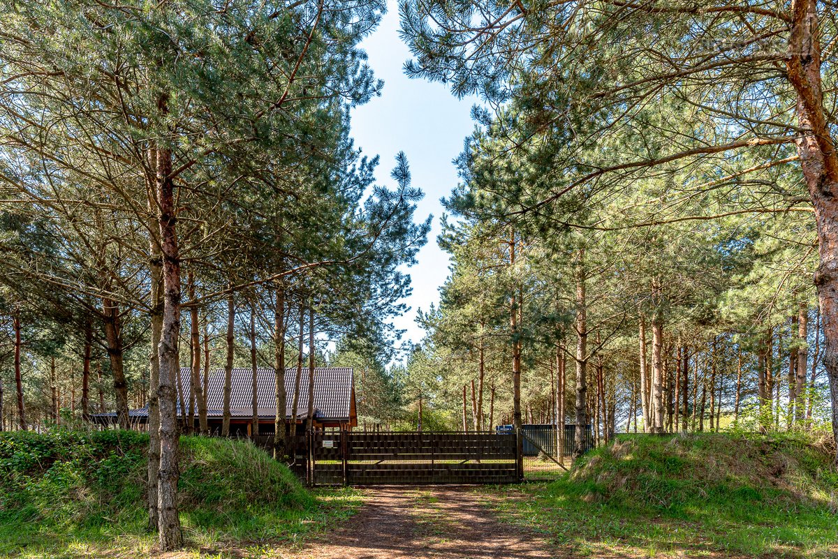 Gyvenimas Pušyne – Privati 2,6 Ha Rezidencija - nuotraukos Nr. 30