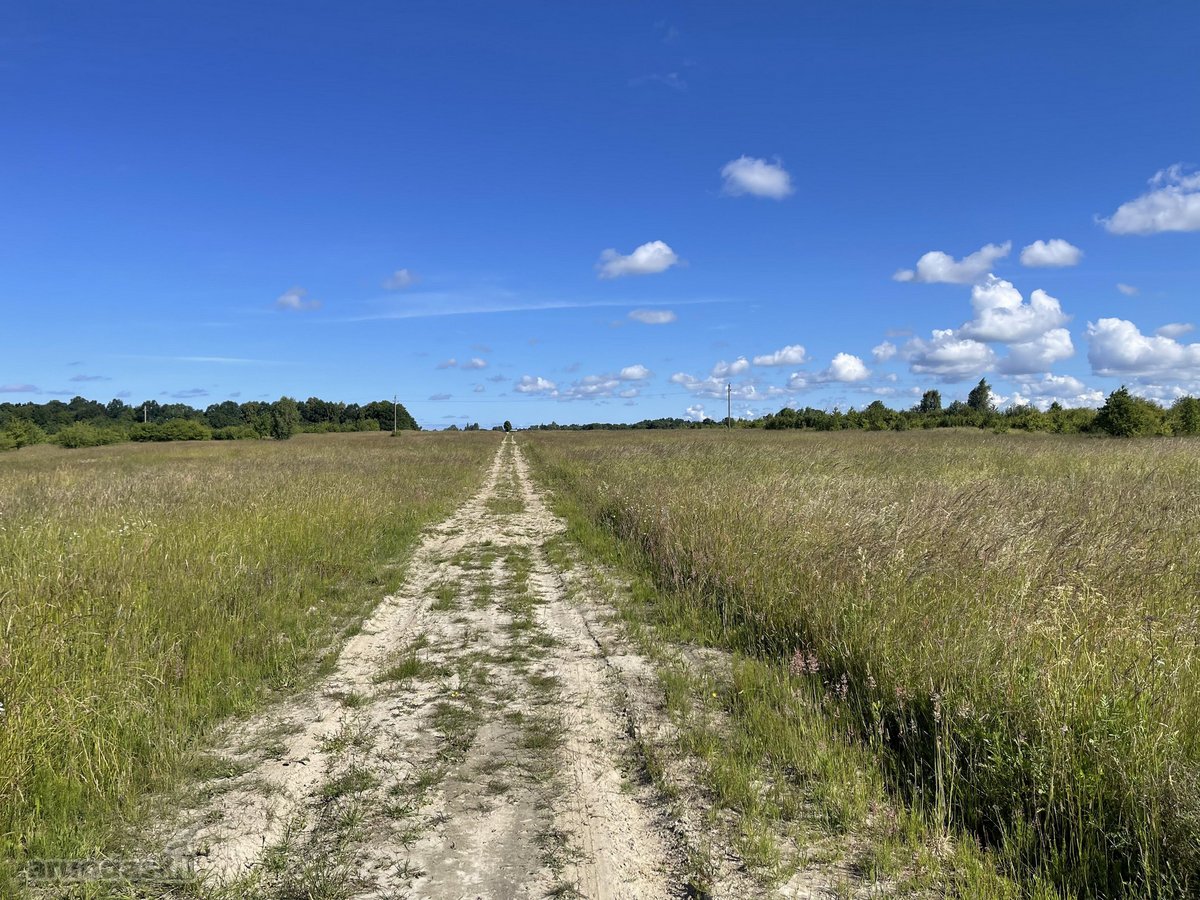 Kiautrynų g. 8, Klaipėda, greta vaizdingo - nuotraukos Nr. 12