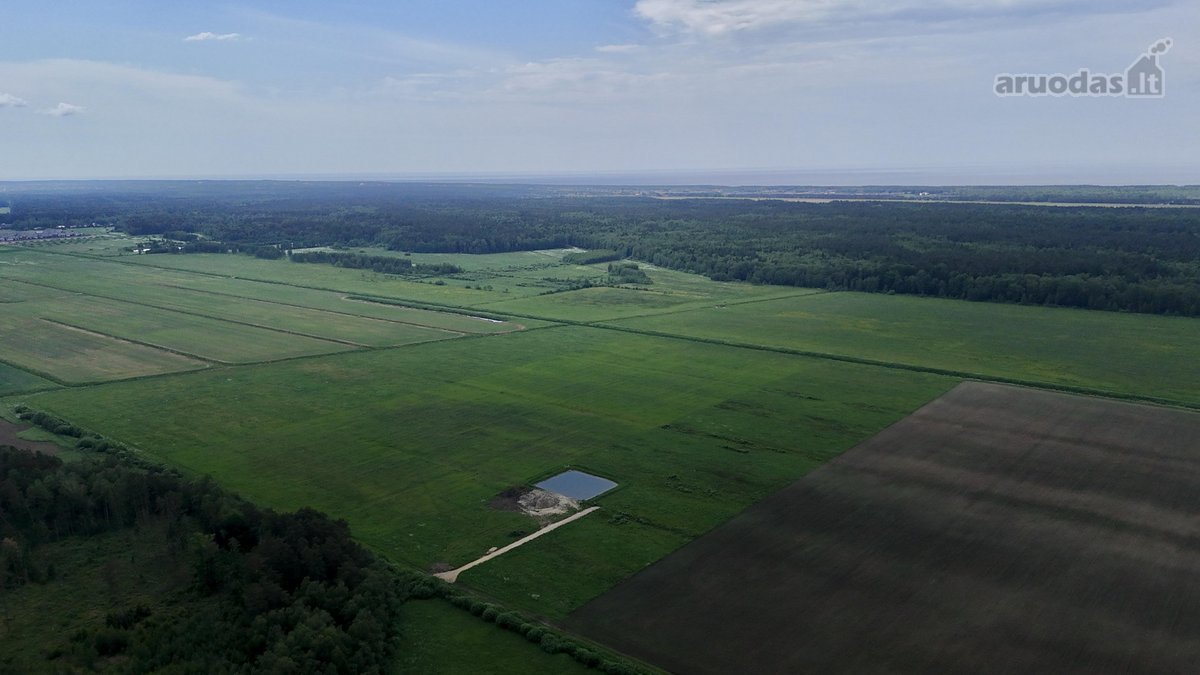 Parduodamas žemės ūkio paskirties sklypas - nuotraukos Nr. 12