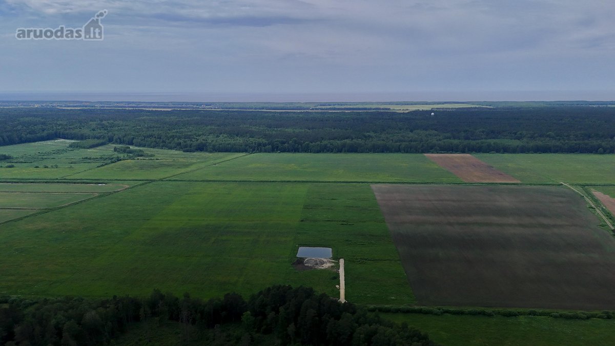 Parduodamas žemės ūkio paskirties sklypas - nuotraukos Nr. 13