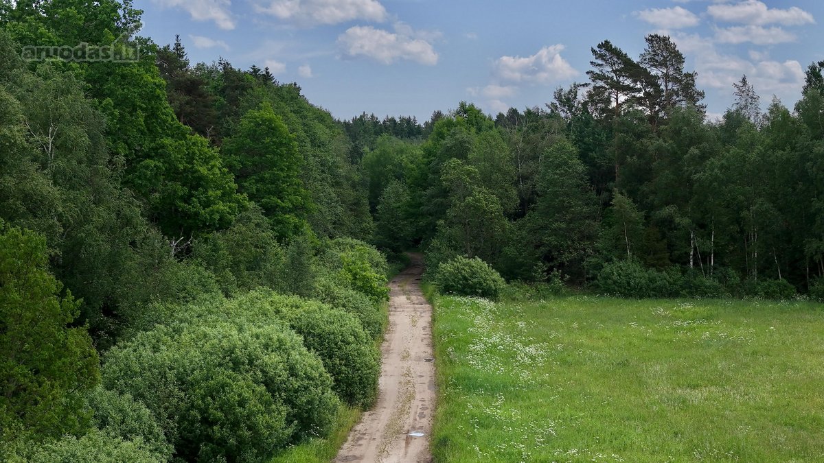 Parduodamas žemės ūkio paskirties sklypas - nuotraukos Nr. 34