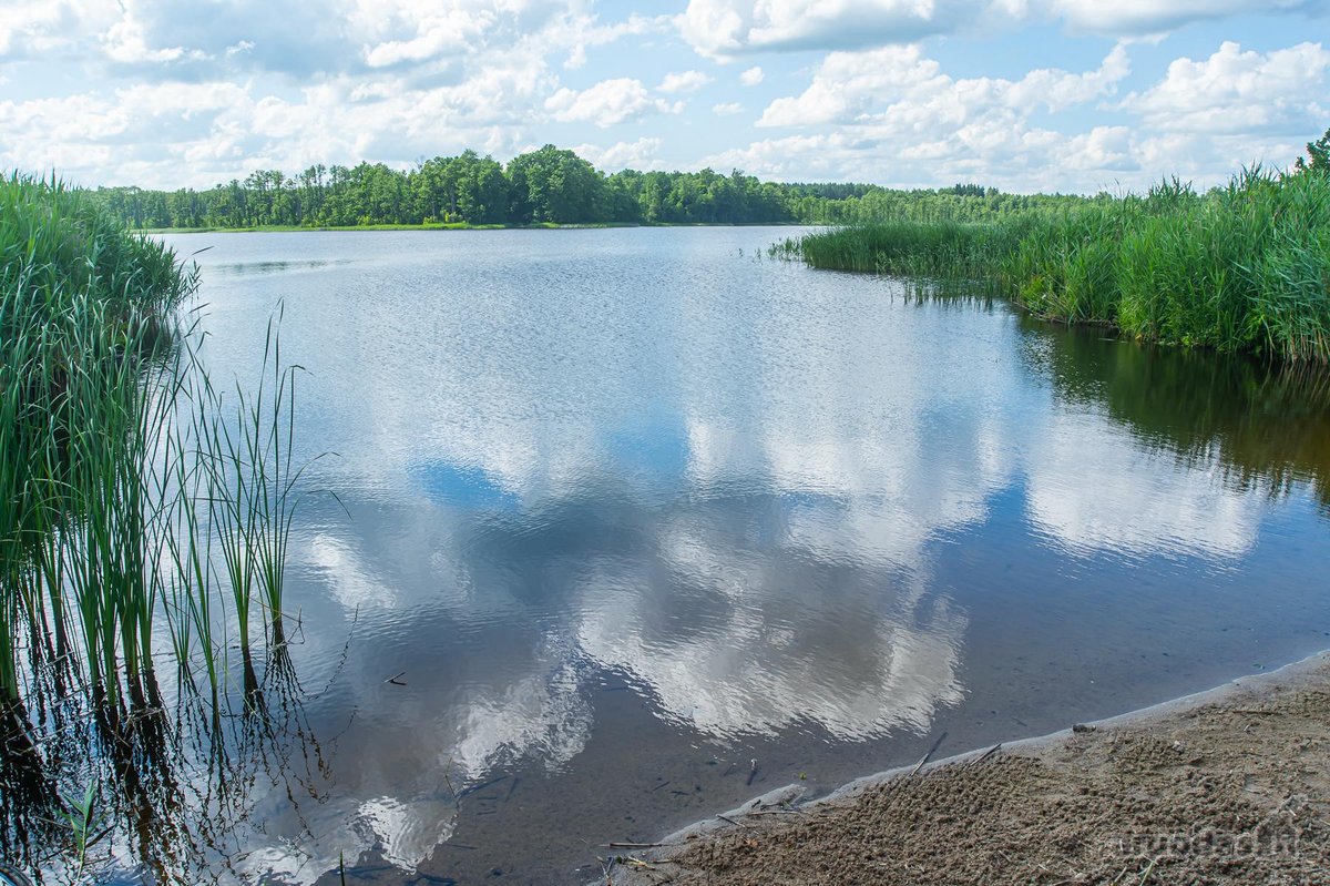 Ieškote tobulo sklypo savo svajonių namams, - nuotraukos Nr. 7