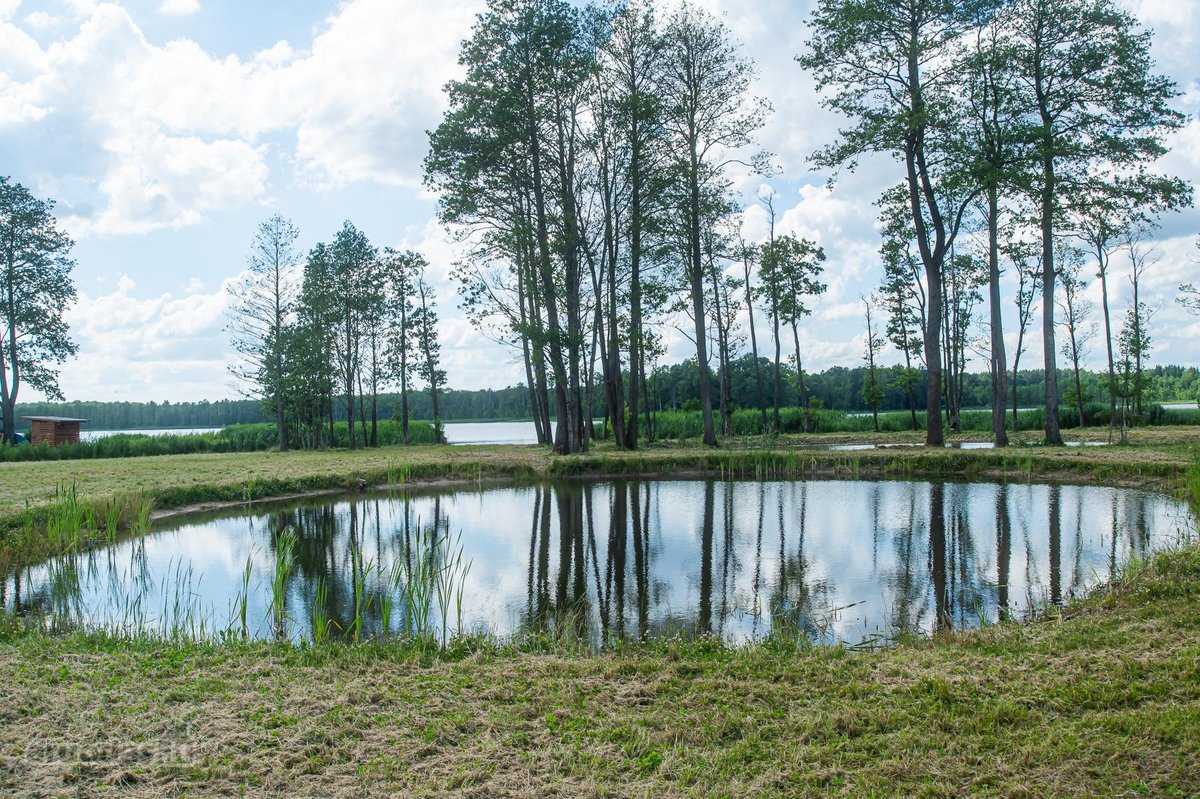 Ieškote tobulo sklypo savo svajonių namams, - nuotraukos Nr. 5