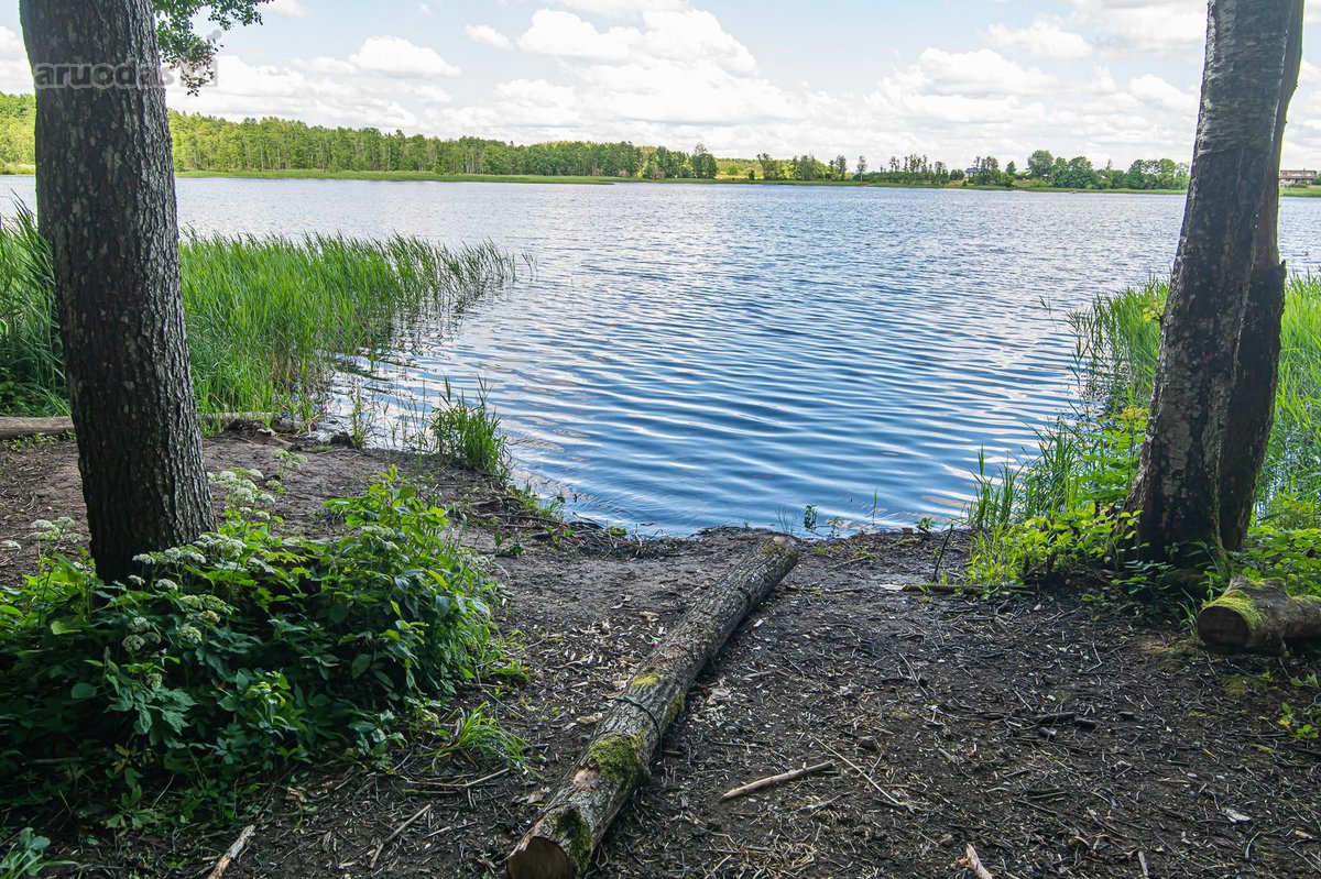 Parduodami 2 sklypai miškų apsuptyje šalia - nuotraukos Nr. 6