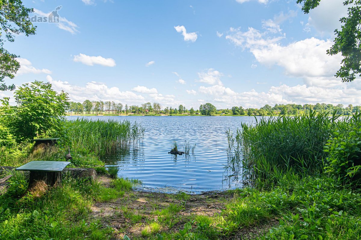 Parduodami 2 sklypai miškų apsuptyje šalia - nuotraukos Nr. 7