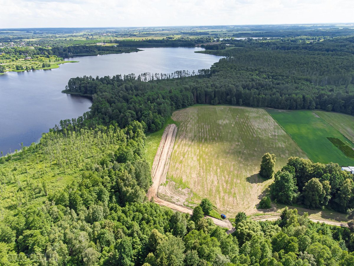 Parduodami 2 sklypai miškų apsuptyje šalia - nuotraukos Nr. 9