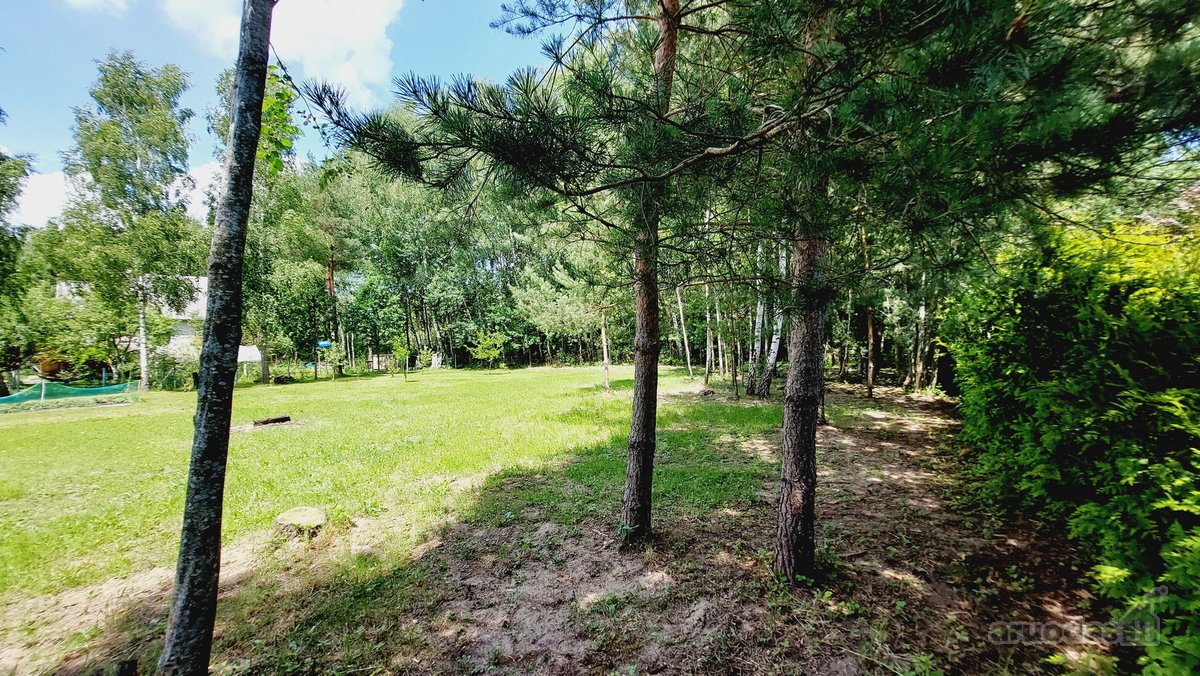 Parduodami du sklypai ramioje ir nuošalioje