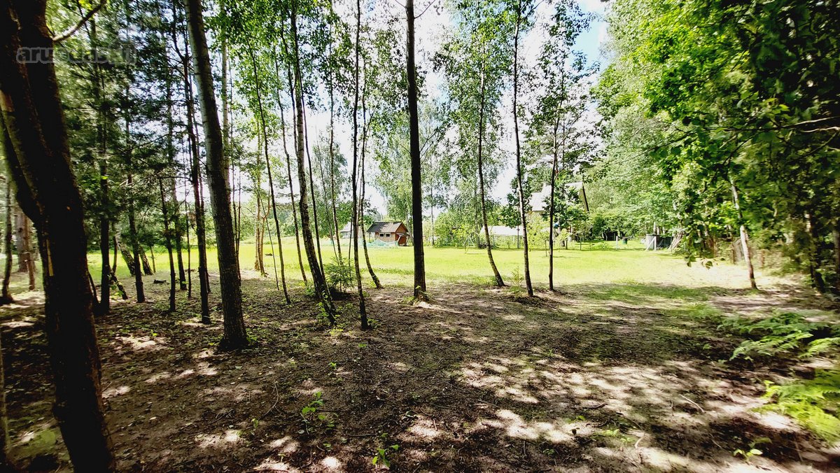 Parduodami du sklypai ramioje ir nuošalioje - nuotraukos Nr. 4