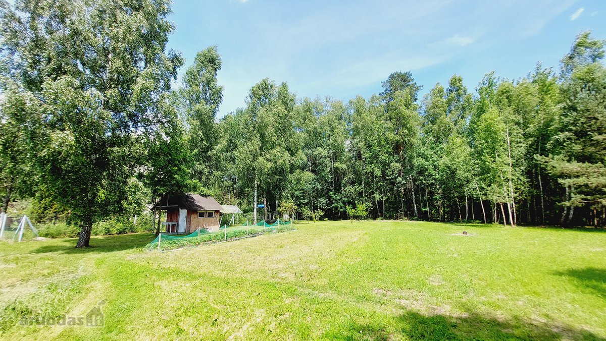Parduodami du sklypai ramioje ir nuošalioje - nuotraukos Nr. 5