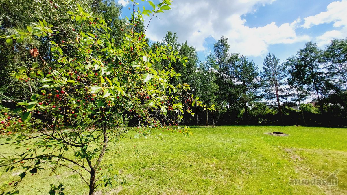 Parduodami du sklypai ramioje ir nuošalioje - nuotraukos Nr. 7