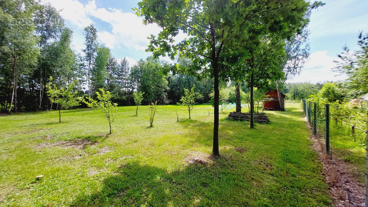 Parduodami du sklypai ramioje ir nuošalioje - nuotraukos Nr. 9