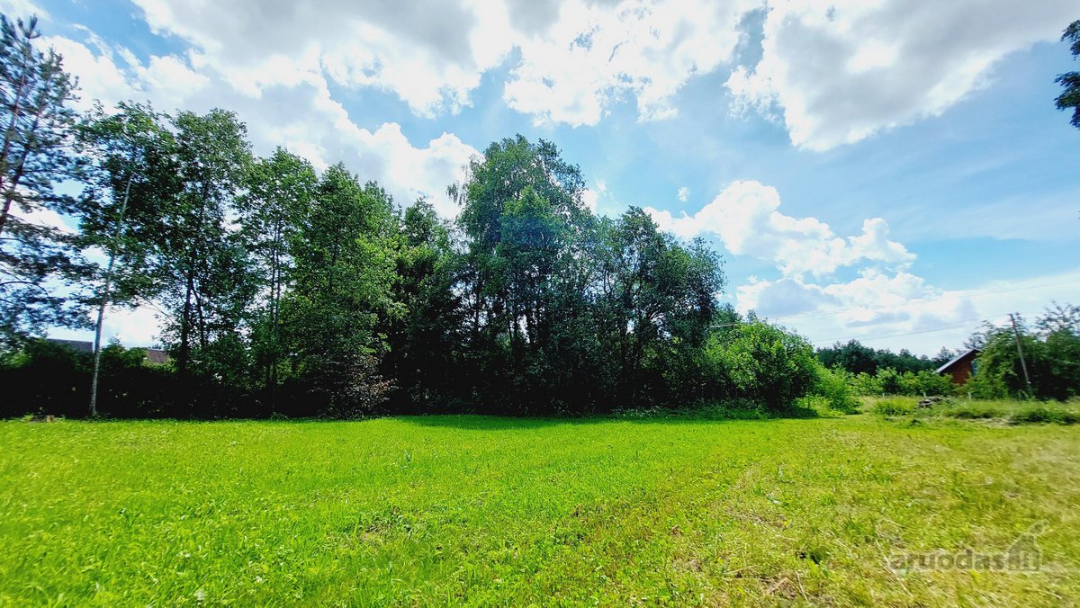 Parduodami du sklypai ramioje ir nuošalioje - nuotraukos Nr. 8