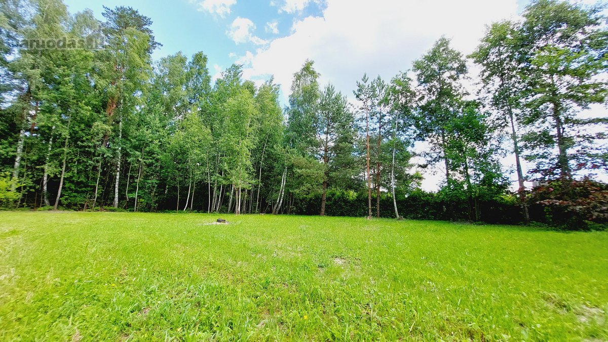 Parduodami du sklypai ramioje ir nuošalioje - nuotraukos Nr. 10