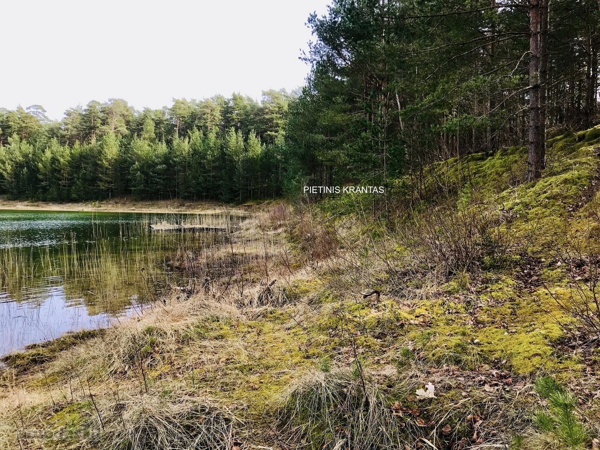 Parduodamas Komercinės Paskirties Žemės Sklypas  - nuotraukos Nr. 13