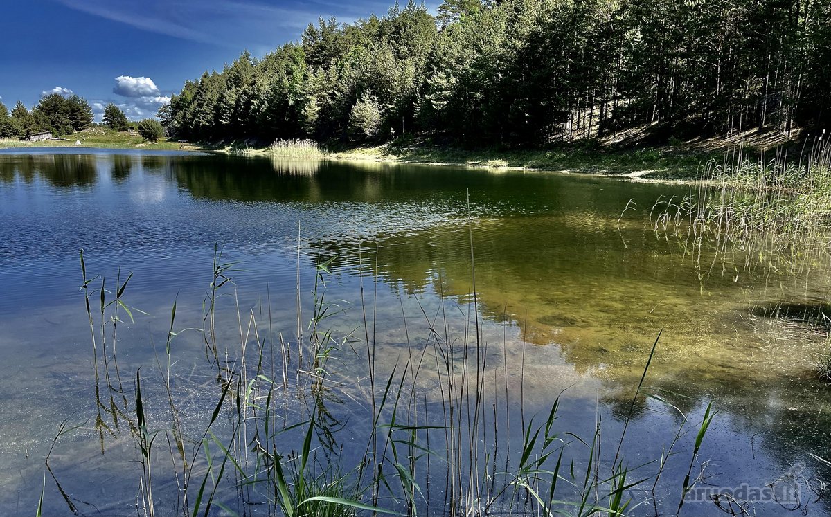 Parduodamas Komercinės Paskirties Žemės Sklypas  - nuotraukos Nr. 15