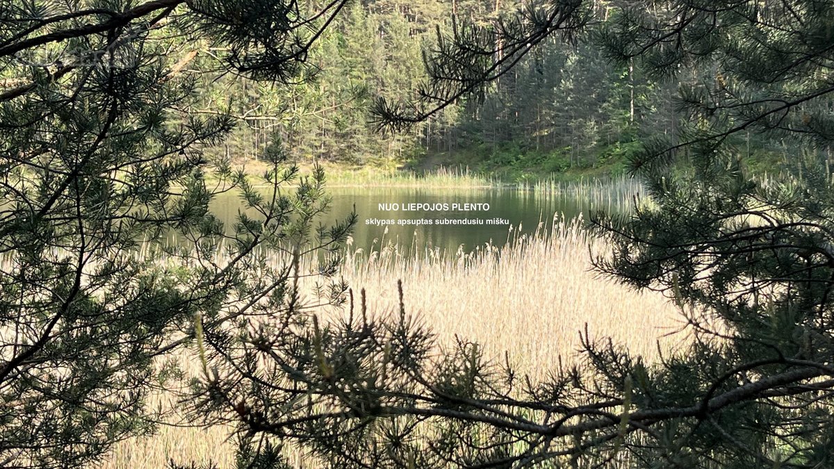 Parduodamas Komercinės Paskirties Žemės Sklypas  - nuotraukos Nr. 19