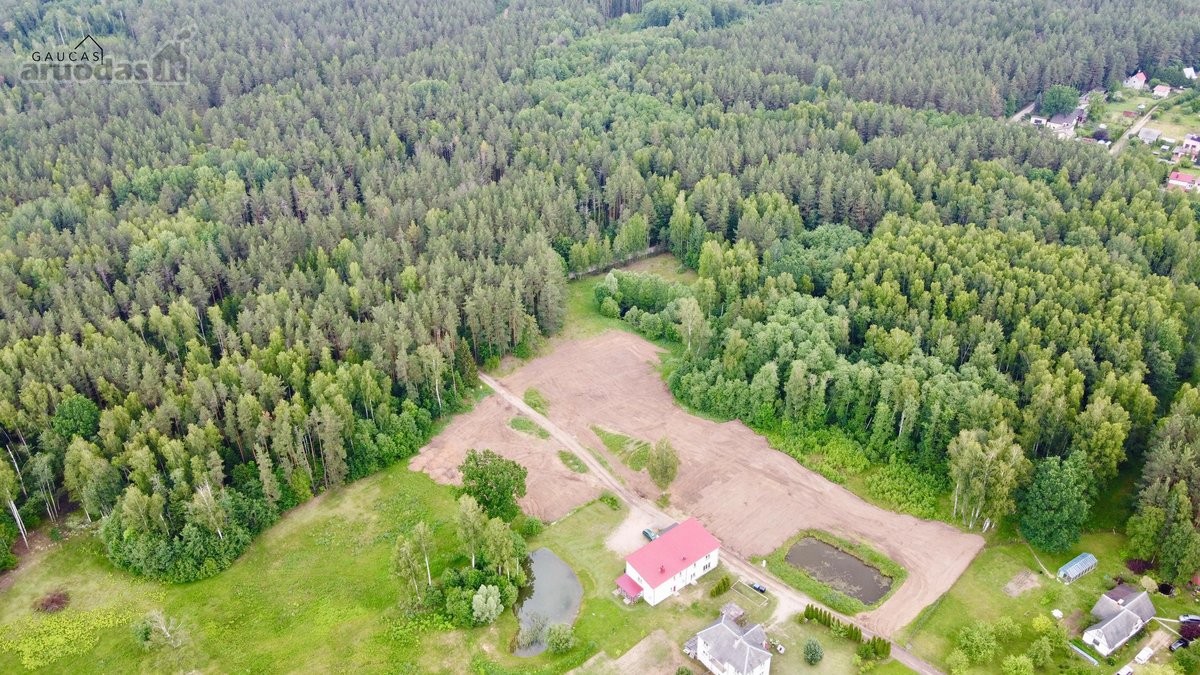 Parduodamas sklypas miško apsuptyje su - nuotraukos Nr. 3