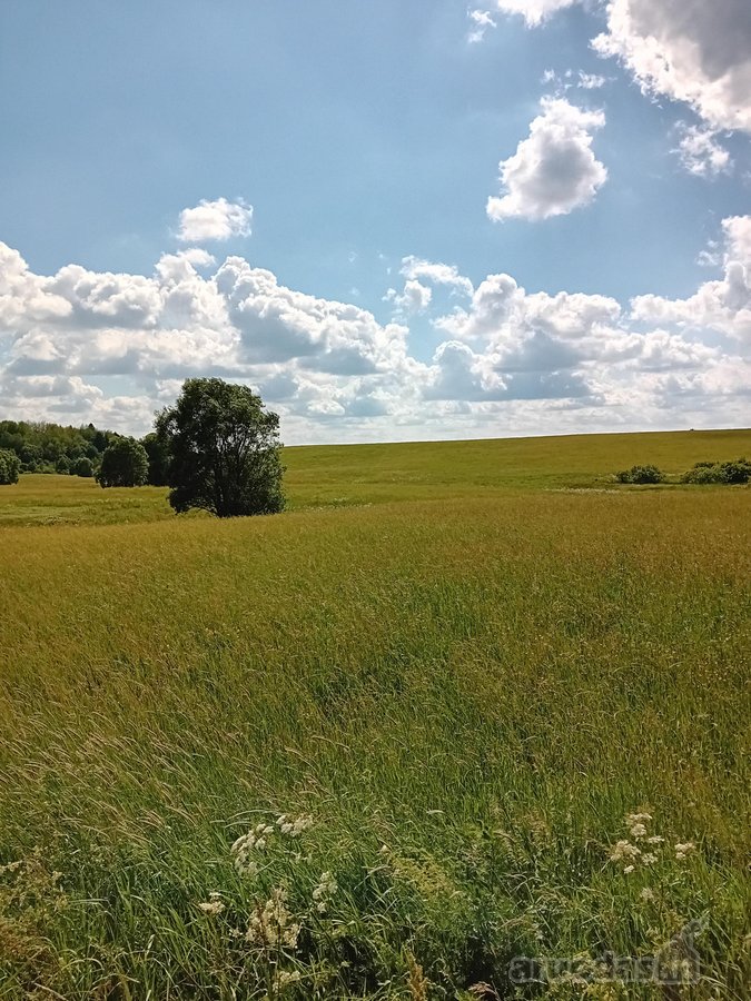 Keturių žemės ūkio paskirties (unik.nr.:7858 - nuotraukos Nr. 2