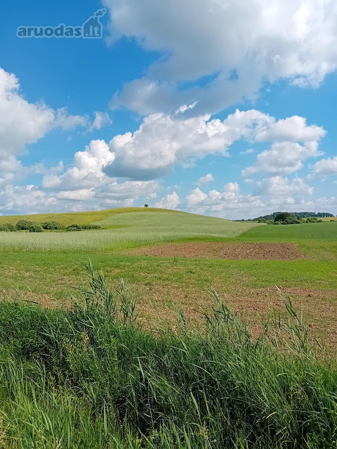 Keturių žemės ūkio paskirties (unik.nr.:7858 - nuotraukos Nr. 3