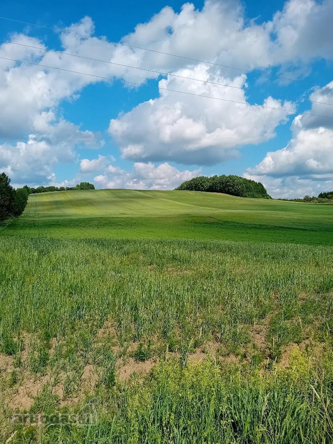 Keturių žemės ūkio paskirties (unik.nr.:7858 - nuotraukos Nr. 4