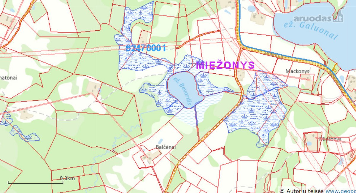 Žemės sklypas - nuotraukos Nr. 5