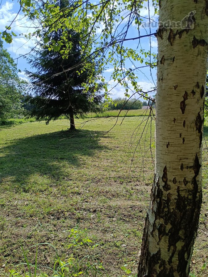 Parduodamas išskirtinis erdvus namų valdos - nuotraukos Nr. 2