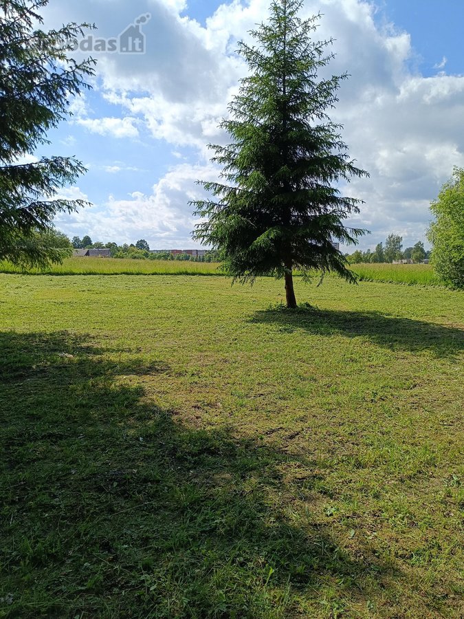 Parduodamas išskirtinis erdvus namų valdos - nuotraukos Nr. 4