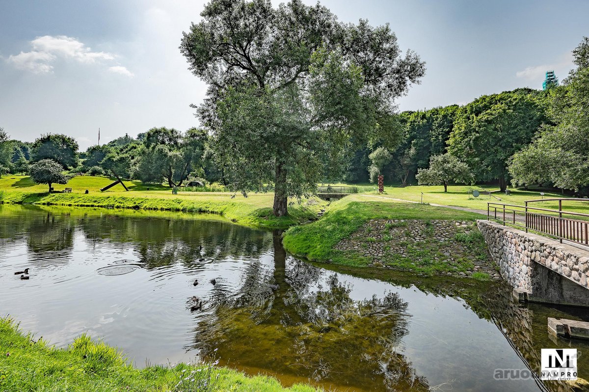 Šviesus ir jaukus 2 kambarių butas Paupyje / - nuotraukos Nr. 18