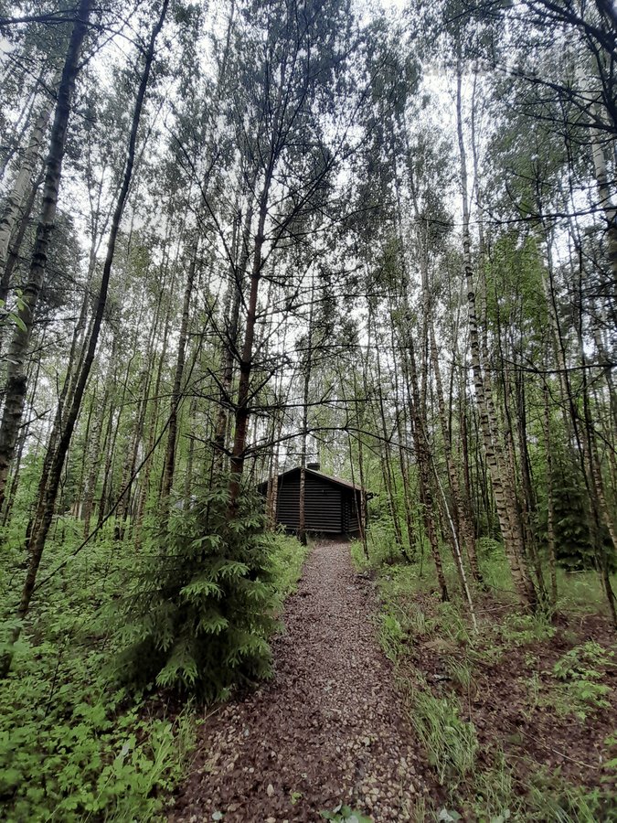 Nedidelė jauki sodybėlė tikram poilsiui - nuotraukos Nr. 3
