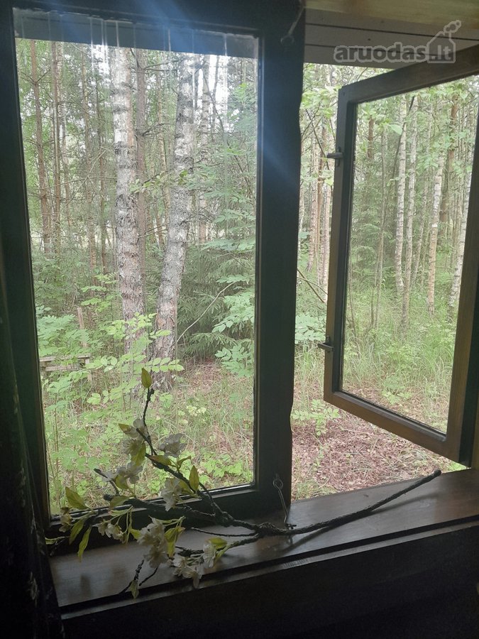 Nedidelė jauki sodybėlė tikram poilsiui - nuotraukos Nr. 16