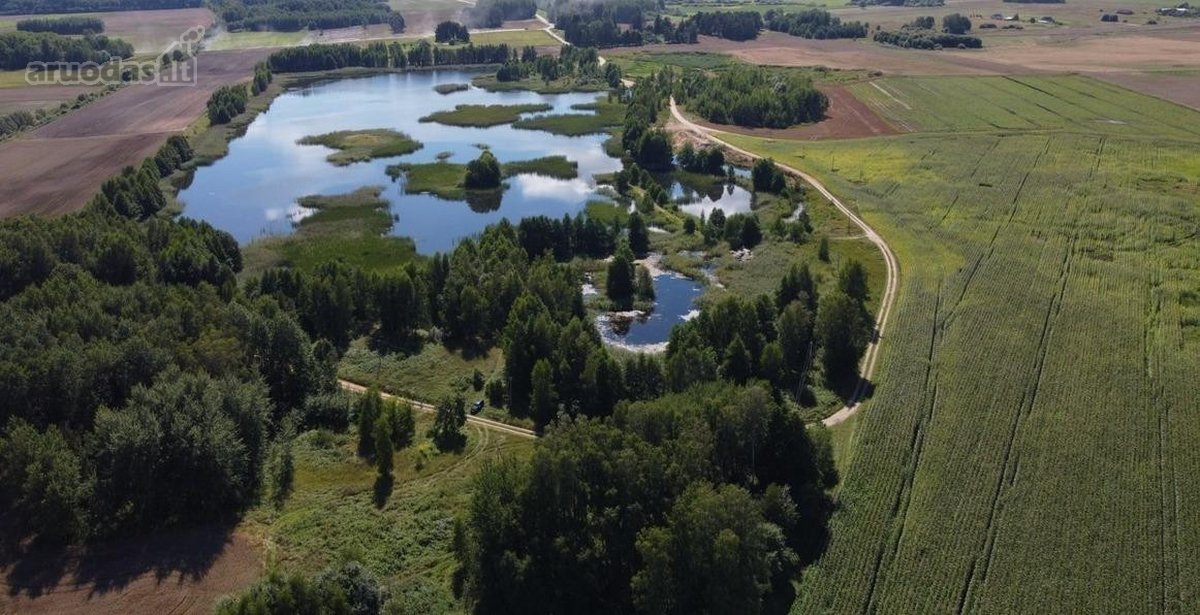 Parduodamas 33 arų ploto sklypas Jagminų g. - nuotraukos Nr. 3