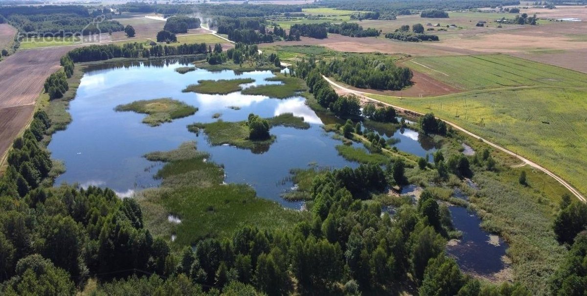 Parduodamas 33 arų ploto sklypas Jagminų g. - nuotraukos Nr. 2