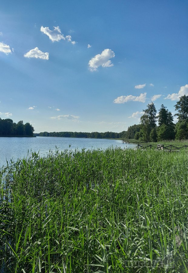 Nedidelė jauki sodybėlė tikram poilsiui - nuotraukos Nr. 22