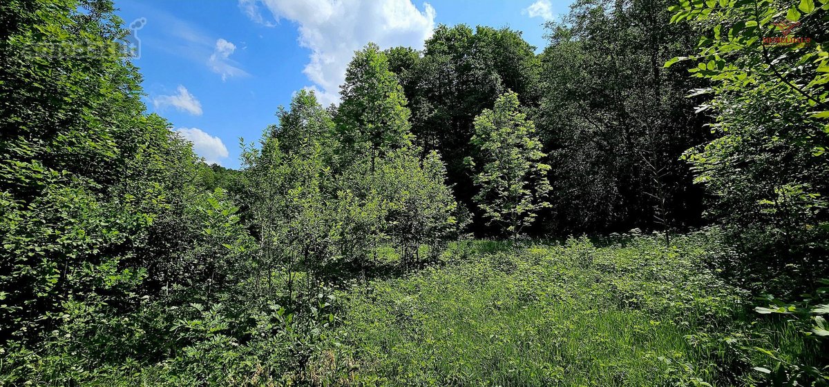 ? Parduodamas Išskirtinis Sklypas Prie Upės – - nuotraukos Nr. 2