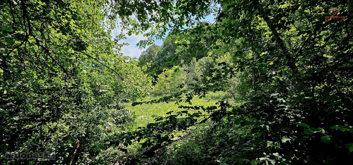 ? Parduodamas Išskirtinis Sklypas Prie Upės – - nuotraukos Nr. 3