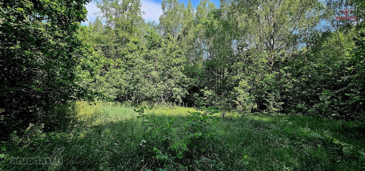? Parduodamas Išskirtinis Sklypas Prie Upės – - nuotraukos Nr. 4