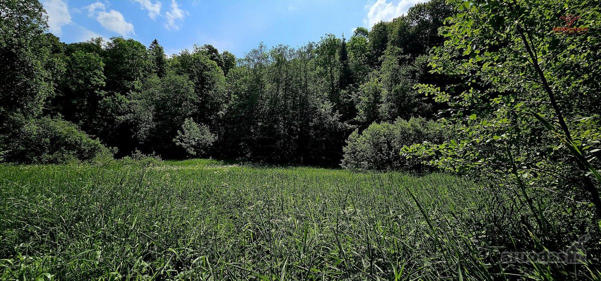 ? Parduodamas Išskirtinis Sklypas Prie Upės – - nuotraukos Nr. 5