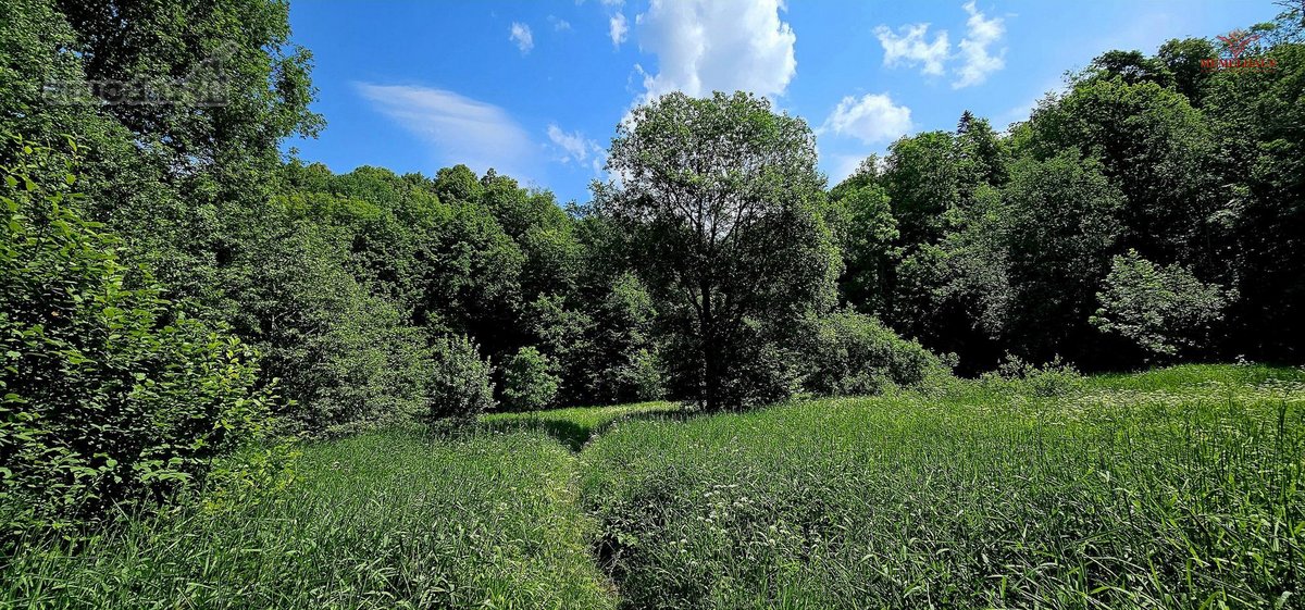 ? Parduodamas Išskirtinis Sklypas Prie Upės – - nuotraukos Nr. 6