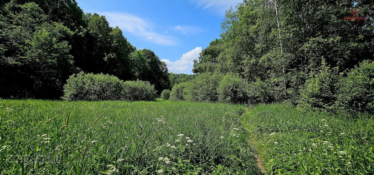 ? Parduodamas Išskirtinis Sklypas Prie Upės – - nuotraukos Nr. 7