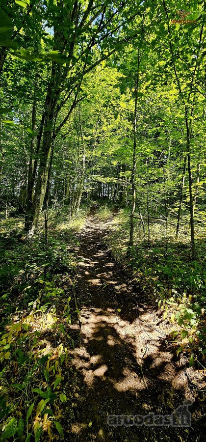 ? Parduodamas Išskirtinis Sklypas Prie Upės – - nuotraukos Nr. 9