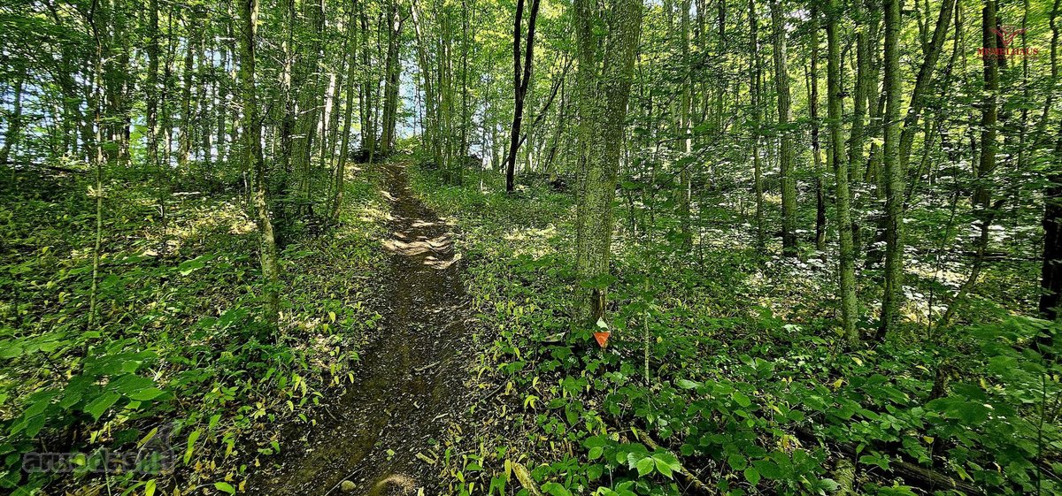 ? Parduodamas Išskirtinis Sklypas Prie Upės – - nuotraukos Nr. 10