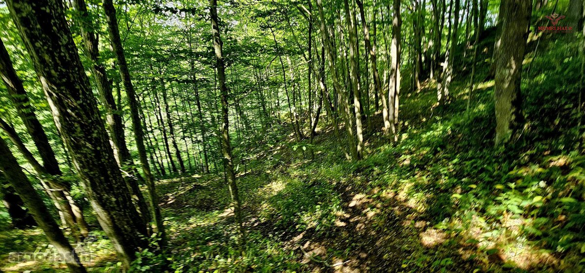 ? Parduodamas Išskirtinis Sklypas Prie Upės – - nuotraukos Nr. 12