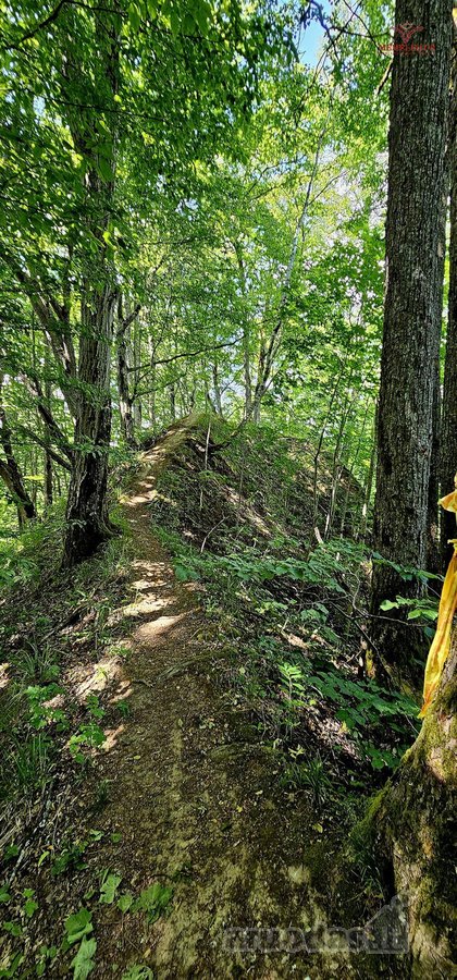 ? Parduodamas Išskirtinis Sklypas Prie Upės – - nuotraukos Nr. 13