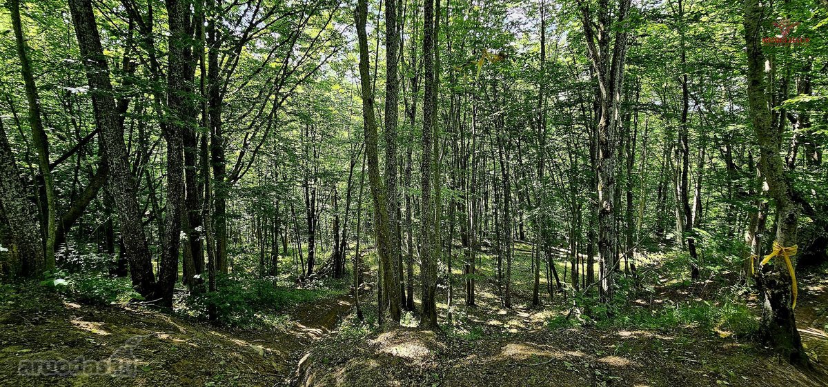 ? Parduodamas Išskirtinis Sklypas Prie Upės – - nuotraukos Nr. 14