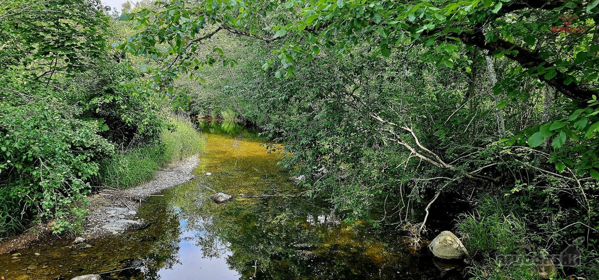 ? Parduodamas Išskirtinis Sklypas Prie Upės – - nuotraukos Nr. 15
