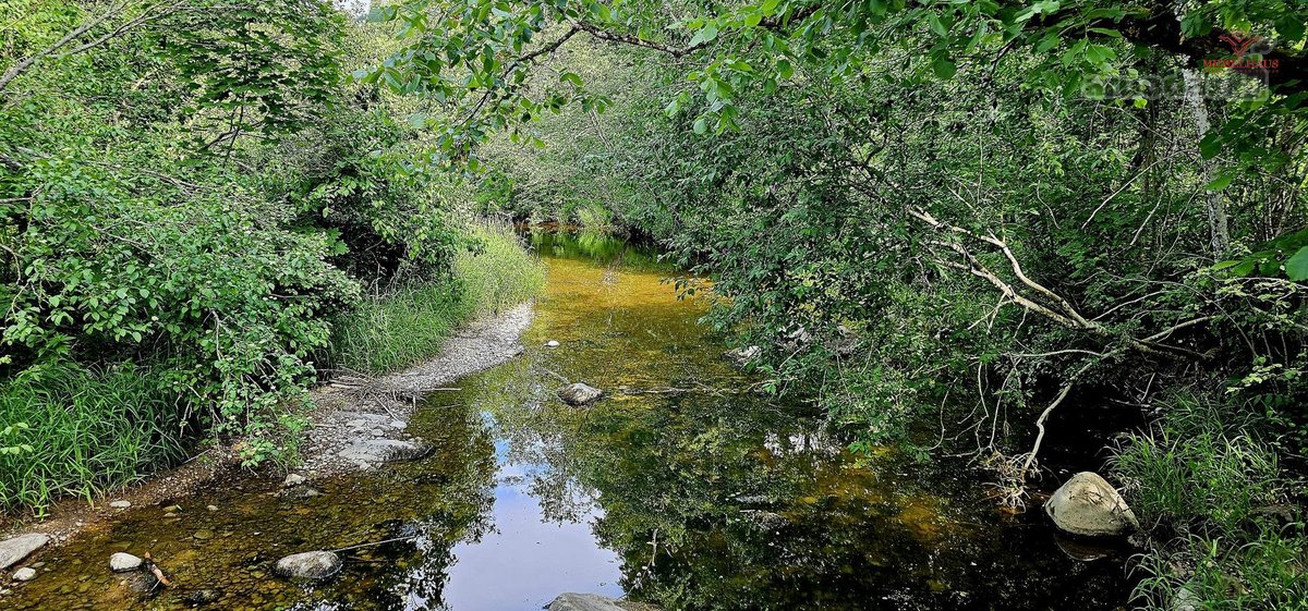 ? Parduodamas Išskirtinis Sklypas Prie Upės – - nuotraukos Nr. 16