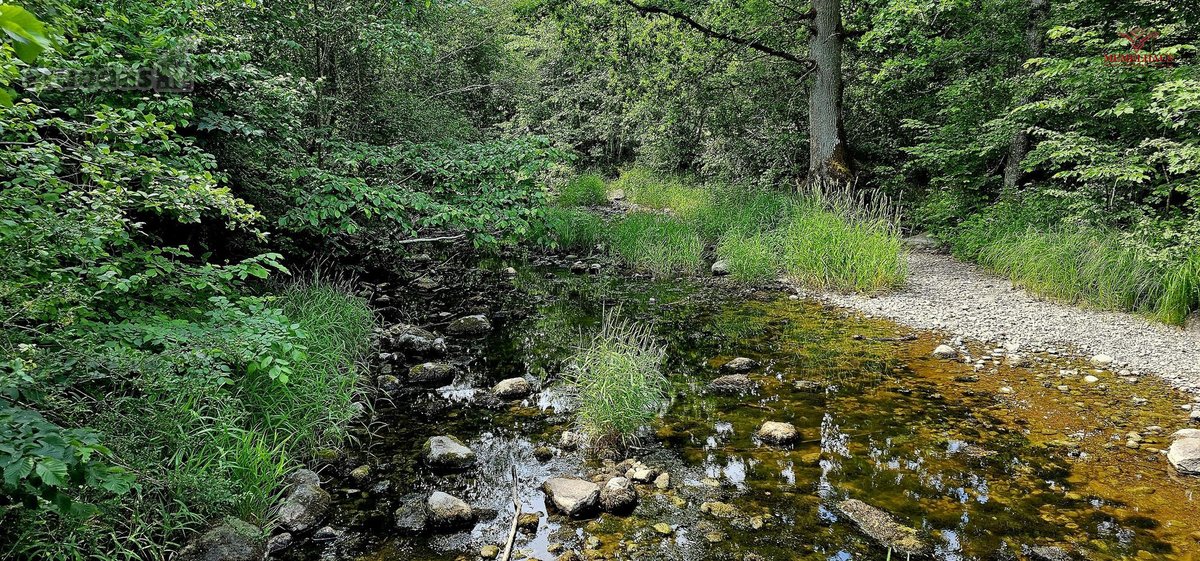 ? Parduodamas Išskirtinis Sklypas Prie Upės – - nuotraukos Nr. 17