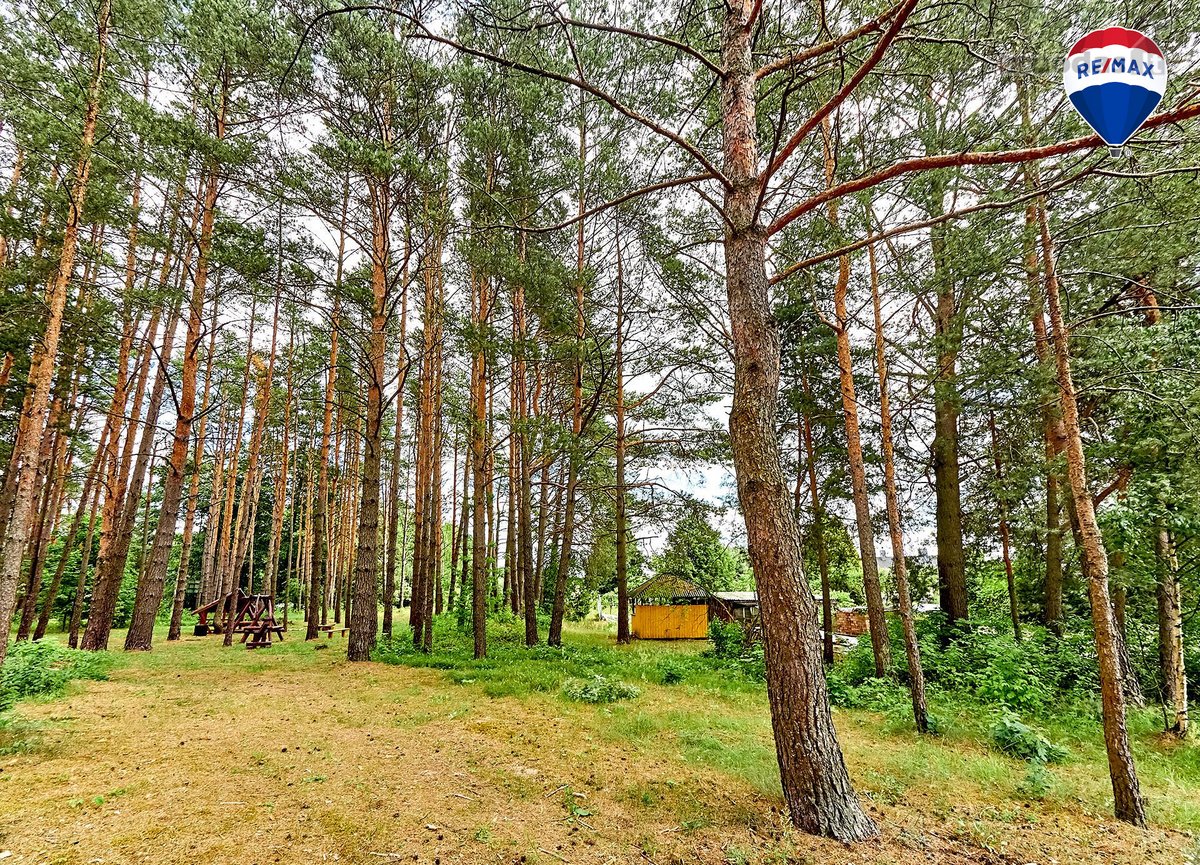 Parduodamas puikios lokacijos 10,65 a sklypas - nuotraukos Nr. 6
